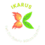 ikarus-systems.com